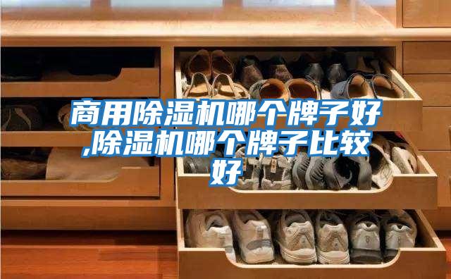 商用除濕機哪個(gè)牌子好,除濕機哪個(gè)牌子比較好