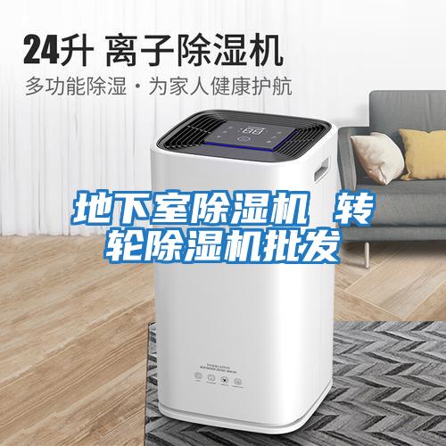 地下室除濕機 轉輪除濕機批發(fā)