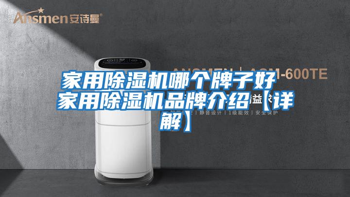 家用除濕機哪個(gè)牌子好 家用除濕機品牌介紹【詳解】