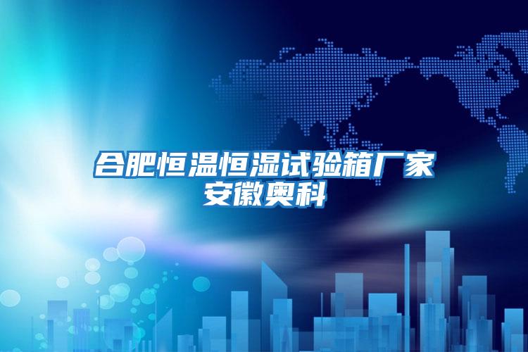 合肥恒溫恒濕試驗箱廠(chǎng)家安徽奧科