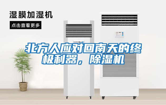 北方人應對回南天的終極利器，除濕機