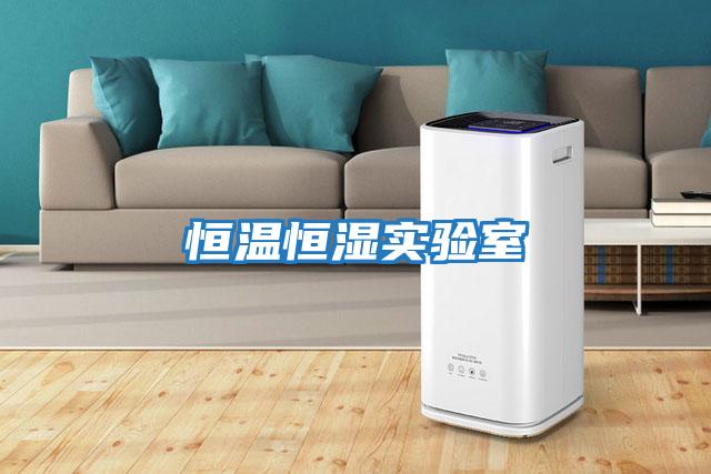 恒溫恒濕實(shí)驗室