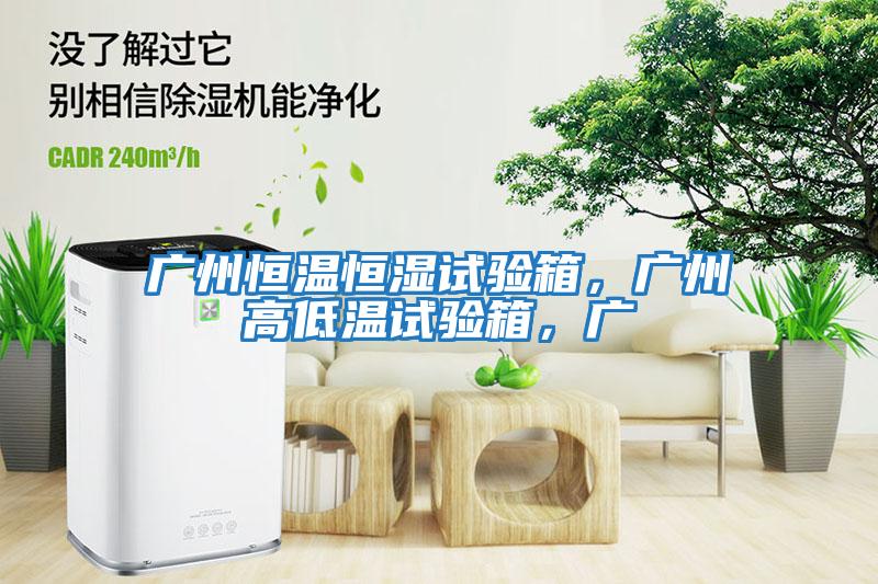 廣州恒溫恒濕試驗箱，廣州高低溫試驗箱，廣