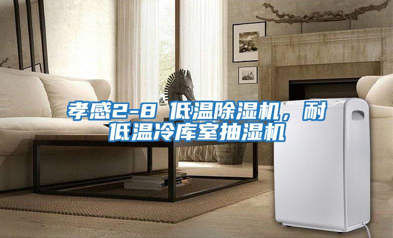 孝感2-8℃低溫除濕機，耐低溫冷庫室抽濕機