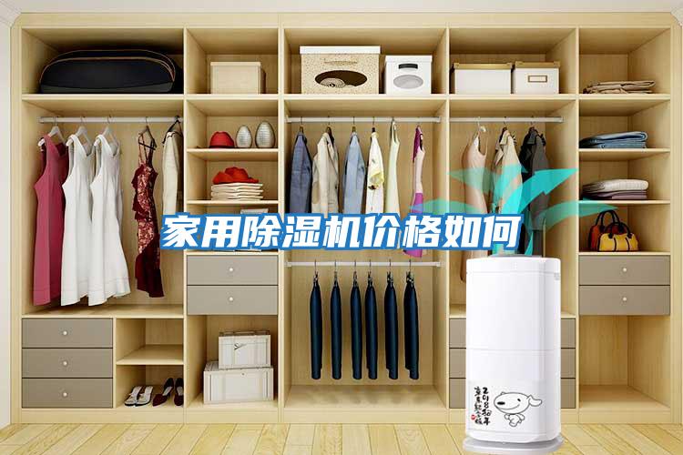 家用除濕機價(jià)格如何