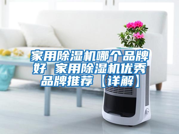 家用除濕機哪個(gè)品牌好 家用除濕機優(yōu)秀品牌推薦【詳解】