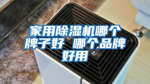 家用除濕機哪個(gè)牌子好 哪個(gè)品牌好用