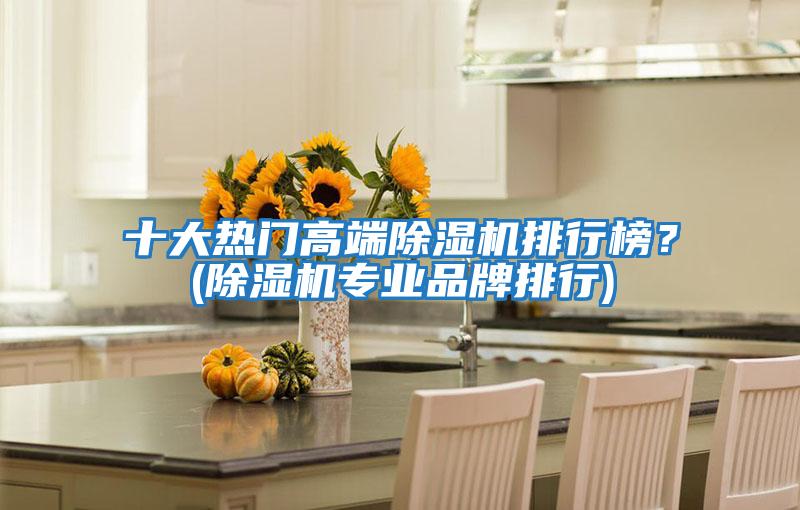 十大熱門(mén)高端除濕機排行榜？(除濕機專(zhuān)業(yè)品牌排行)
