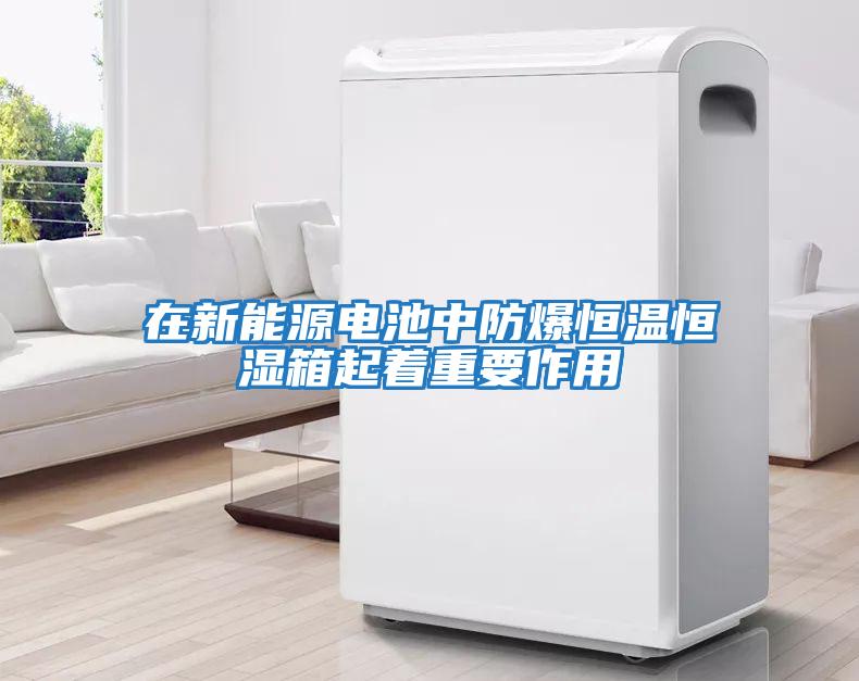在新能源電池中防爆恒溫恒濕箱起著(zhù)重要作用