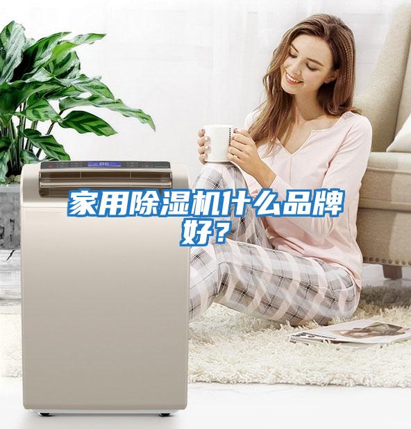 家用除濕機什么品牌好？