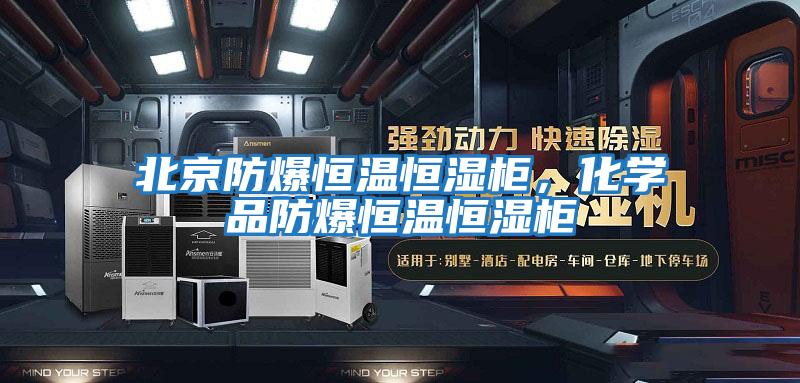 北京防爆恒溫恒濕柜，化學(xué)品防爆恒溫恒濕柜