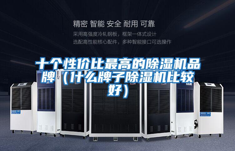 十個(gè)性?xún)r(jià)比最高的除濕機品牌（什么牌子除濕機比較好）