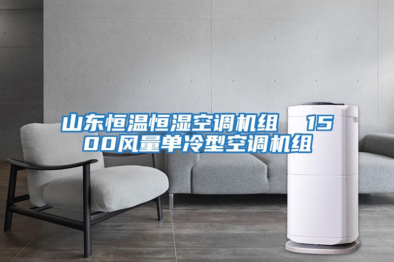 山東恒溫恒濕空調機組  1500風(fēng)量單冷型空調機組