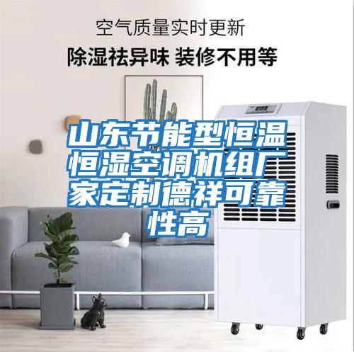 山東節能型恒溫恒濕空調機組廠(chǎng)家定制德祥可靠性高