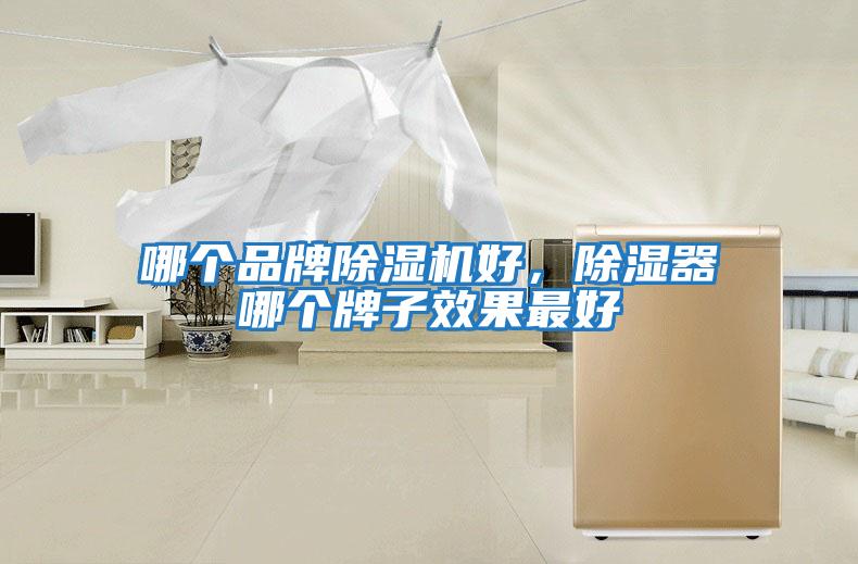 哪個(gè)品牌除濕機好，除濕器哪個(gè)牌子效果最好