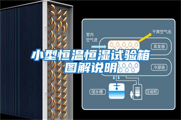 小型恒溫恒濕試驗箱圖解說(shuō)明
