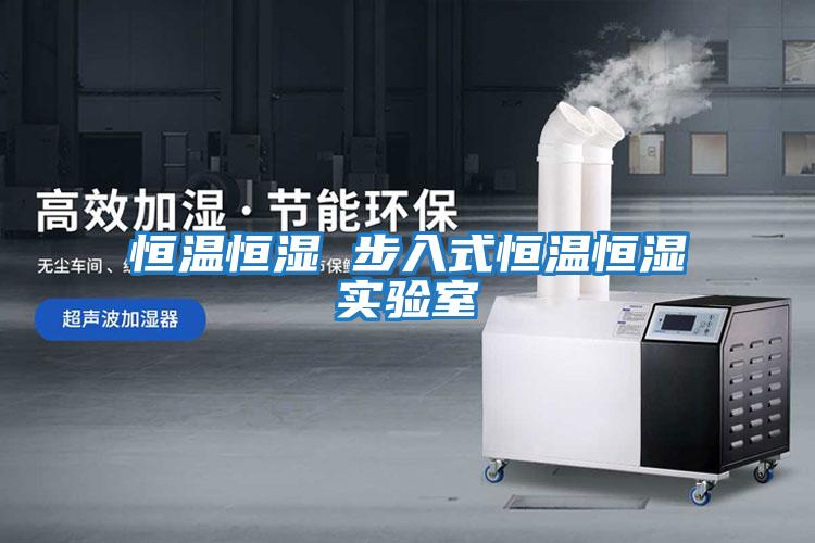 恒溫恒濕 步入式恒溫恒濕實(shí)驗室