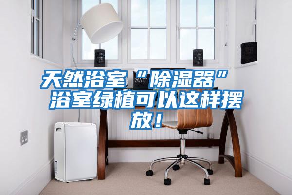 天然浴室“除濕器” 浴室綠植可以這樣擺放！