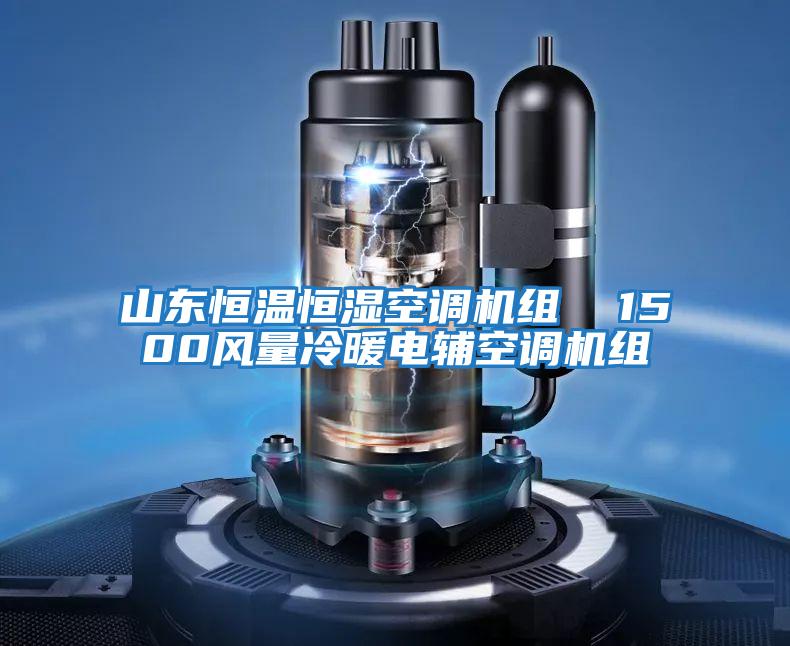 山東恒溫恒濕空調機組  1500風(fēng)量冷暖電輔空調機組