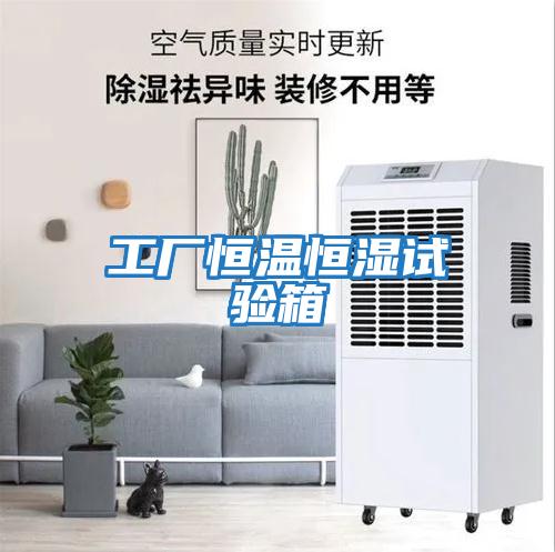 工廠(chǎng)恒溫恒濕試驗箱