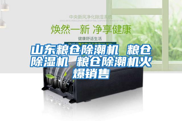 山東糧倉除潮機 糧倉除濕機 糧倉除潮機火爆銷(xiāo)售