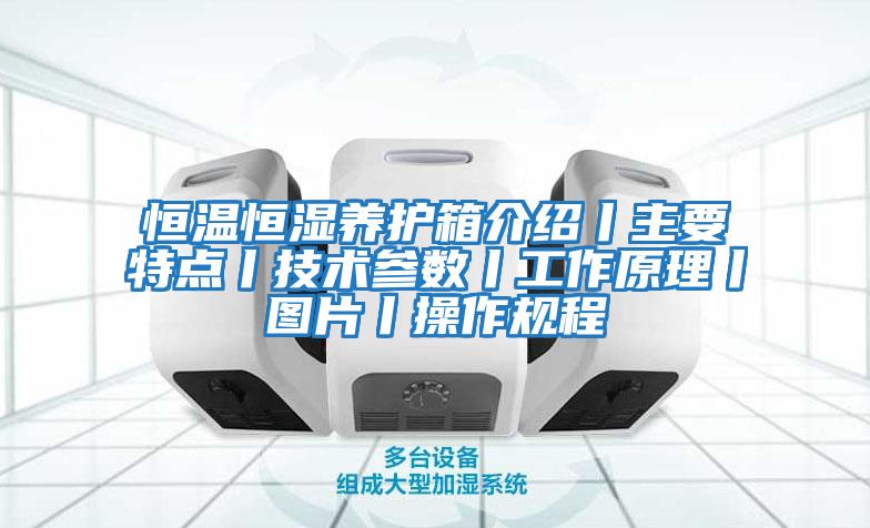 恒溫恒濕養護箱介紹丨主要特點(diǎn)丨技術(shù)參數丨工作原理丨圖片丨操作規程