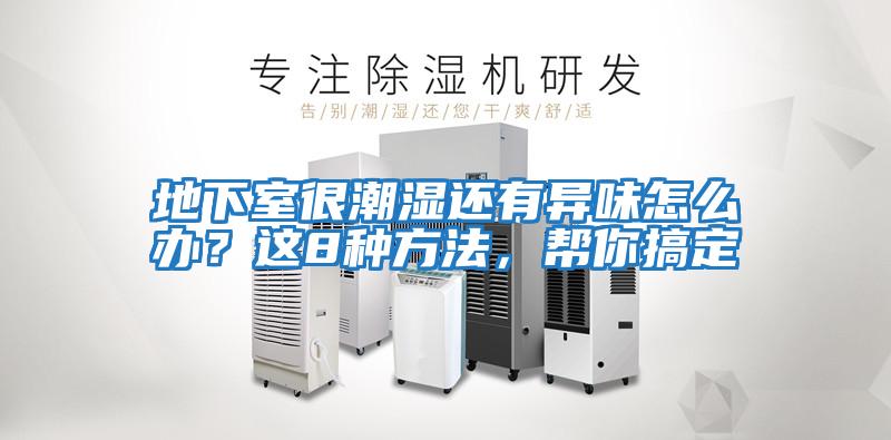 地下室很潮濕還有異味怎么辦？這8種方法，幫你搞定