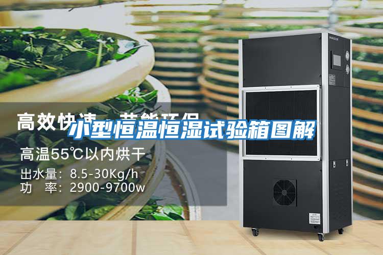 小型恒溫恒濕試驗箱圖解