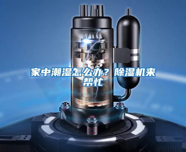 家中潮濕怎么辦？除濕機來(lái)幫忙