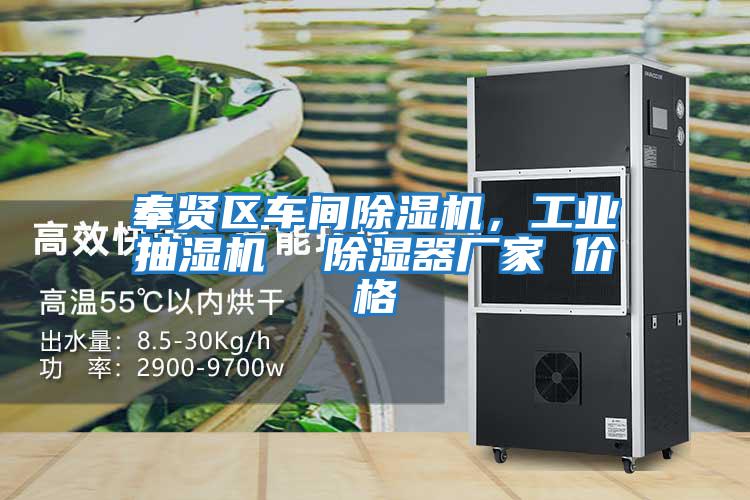 奉賢區車(chē)間除濕機，工業(yè)抽濕機  除濕器廠(chǎng)家 價(jià)格