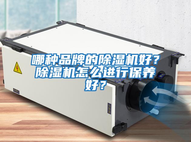 哪種品牌的除濕機好？除濕機怎么進(jìn)行保養好？