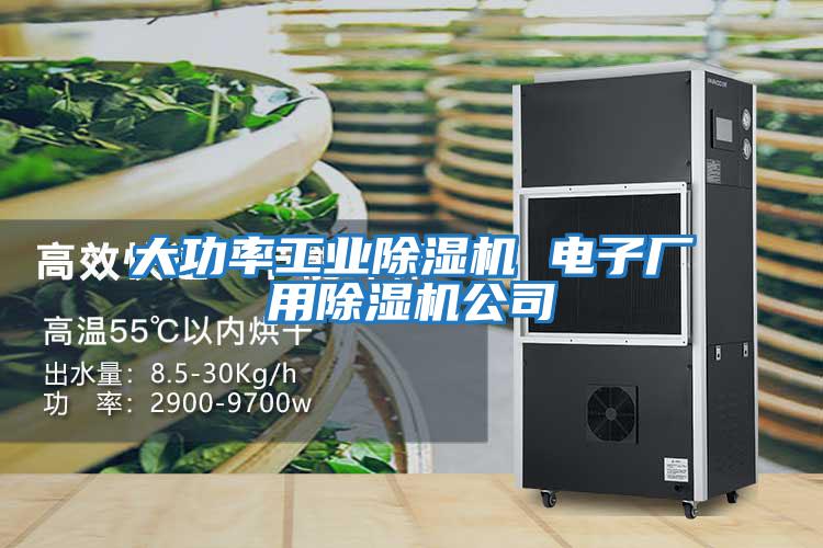 大功率工業(yè)除濕機 電子廠(chǎng)用除濕機公司