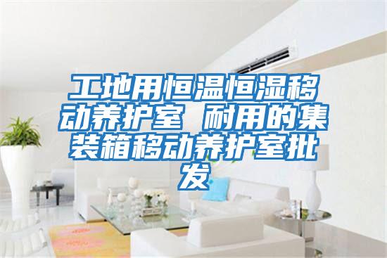 工地用恒溫恒濕移動(dòng)養護室 耐用的集裝箱移動(dòng)養護室批發(fā)