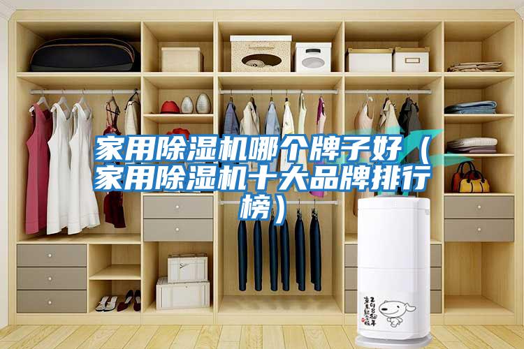 家用除濕機哪個(gè)牌子好（家用除濕機十大品牌排行榜）