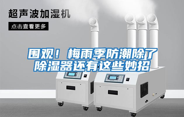 圍觀(guān)！梅雨季防潮除了除濕器還有這些妙招