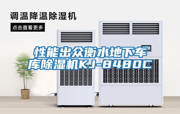 性能出眾衡水地下車(chē)庫除濕機KJ-8480C