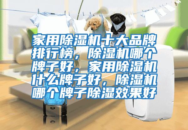 家用除濕機十大品牌排行榜，除濕機哪個(gè)牌子好，家用除濕機什么牌子好，除濕機哪個(gè)牌子除濕效果好