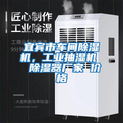 宜賓市車(chē)間除濕機，工業(yè)抽濕機  除濕器廠(chǎng)家 價(jià)格