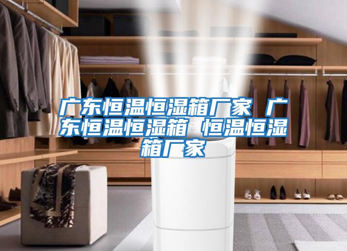 廣東恒溫恒濕箱廠(chǎng)家 廣東恒溫恒濕箱 恒溫恒濕箱廠(chǎng)家