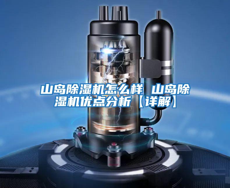 山島除濕機怎么樣 山島除濕機優(yōu)點(diǎn)分析【詳解】
