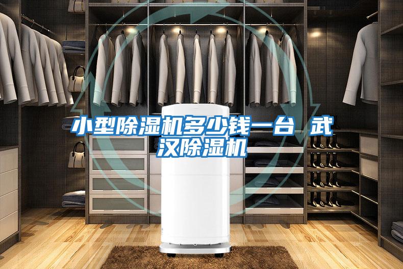 小型除濕機多少錢(qián)一臺 武漢除濕機