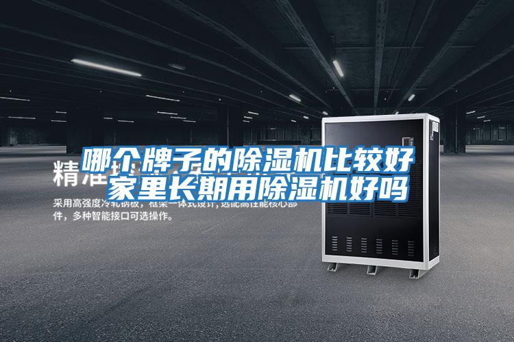 哪個(gè)牌子的除濕機比較好 家里長(cháng)期用除濕機好嗎