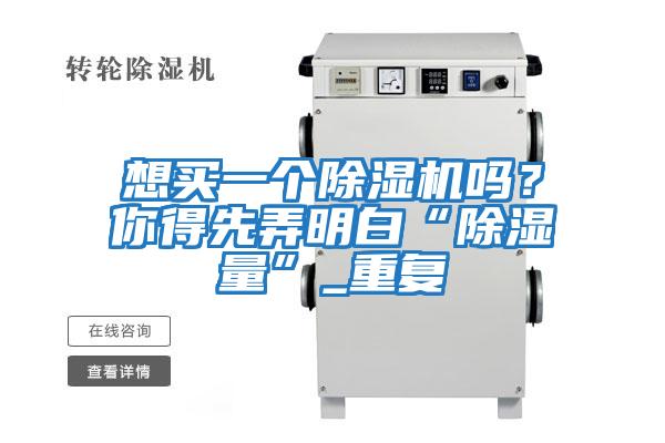 想買(mǎi)一個(gè)除濕機嗎？你得先弄明白“除濕量”_重復