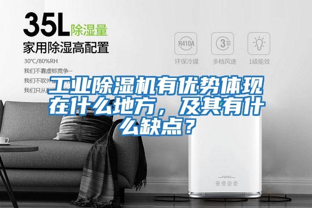 工業(yè)除濕機有優(yōu)勢體現在什么地方，及其有什么缺點(diǎn)？