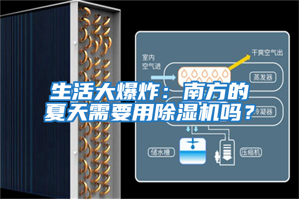 生活大爆炸：南方的夏天需要用除濕機嗎？