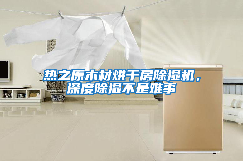 熱之原木材烘干房除濕機，深度除濕不是難事