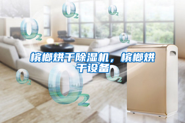 檳榔烘干除濕機，檳榔烘干設備