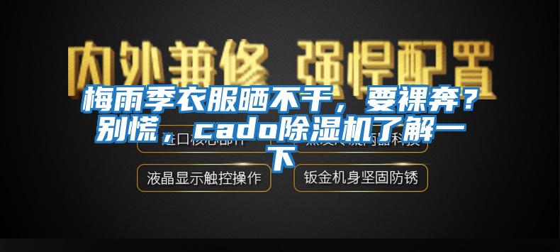 梅雨季衣服曬不干，要裸奔？別慌，cado除濕機了解一下