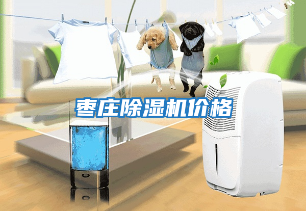 棗莊除濕機價(jià)格