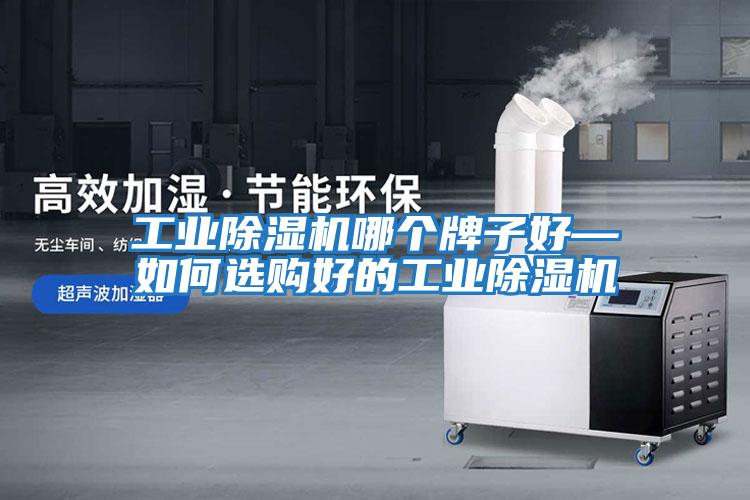 工業(yè)除濕機哪個(gè)牌子好—如何選購好的工業(yè)除濕機